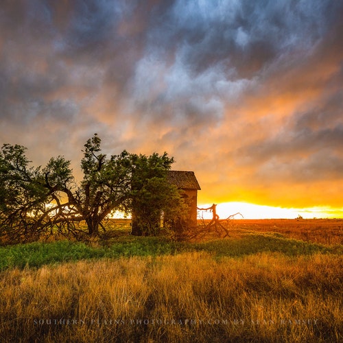 Prairie Photography Print - Wall Art Picture of Abandoned Structure and Windswept Tree Under Scenic Sunset in Oklahoma Landscape Decor