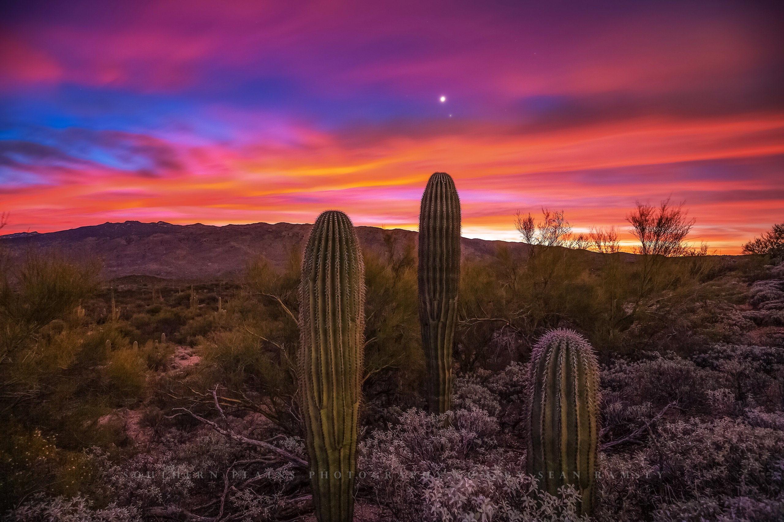 Early Morning Sunrise In The Desert