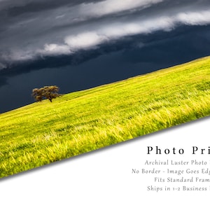 Storm Photography Print Picture of Thunderstorm Passing Behind Lone Tree on Nebraska Prairie Landscape Wall Art Nature Decor image 2