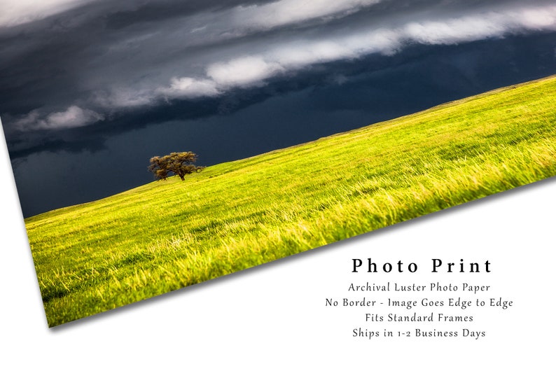 Storm Photography Print Picture of Thunderstorm Passing Behind Lone Tree on Nebraska Prairie Landscape Wall Art Nature Decor image 2