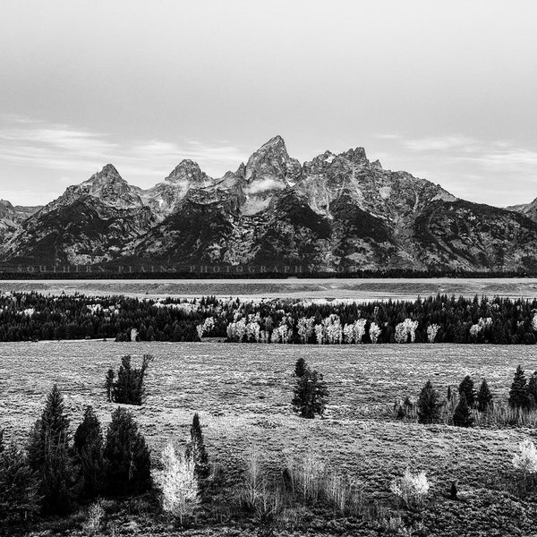 Rocky Mountain Photography Print - Black and White Picture of Grand Teton on Autumn Morning in Wyoming Landscape Wall Art Western Decor