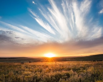 Tallgrass Prairie Photography Print: Oklahoma Sunset Great Plains Sky Landscape Western Canvas Metal Framed Picture Photo Wall Art Decor