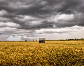 Farm Photography Print - Picture of Pump House in Golden Wheat Field on Stormy Spring Day in Kansas Country Wall Art Farmhouse Decor