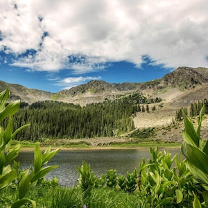May include: A scenic view of a mountain lake surrounded by lush green trees and foliage. The lake is calm and reflects the blue sky and white clouds above. The mountains in the background are covered in trees and have a rocky, rugged appearance.