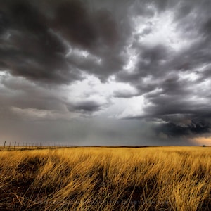 Thunderstorm Photography Print - Picture of Storm Over Golden Prairie Grass in Oklahoma Western Wall Art Great Plains Decor