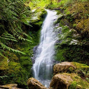 May include: A lush green forest with a cascading waterfall flowing over moss-covered rocks. The water is clear and white, creating a beautiful contrast against the vibrant green foliage.