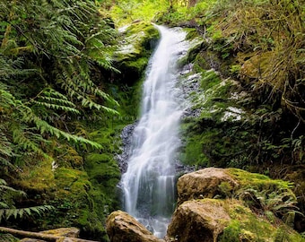 May include: A lush green forest with a cascading waterfall flowing over moss-covered rocks. The water is clear and white, creating a beautiful contrast against the vibrant green foliage.