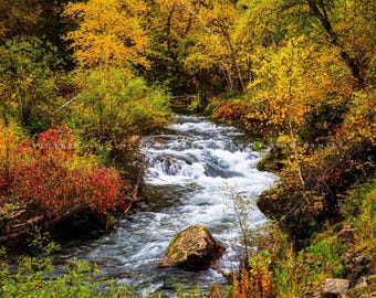 Spearfish Canyon Photography Print: South Dakota Black Hills Creek Autumn Landscape Fall Canvas Metal Framed Picture Photo Wall Art Decor