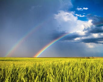 Double Rainbow Over Wheat Field Kansas • Print | Canvas | Metal | Framed • Great Plains, Country, Photography, Picture, Wall Art, Decor