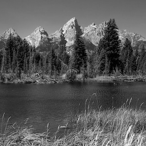 May include: A black and white photograph of a mountain range with trees in the foreground. The mountains are tall and jagged, and the trees are silhouetted against the sky.
