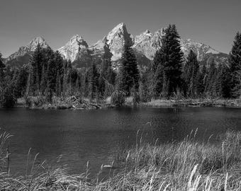May include: A black and white photograph of a mountain range with trees in the foreground. The mountains are tall and jagged, and the trees are silhouetted against the sky.