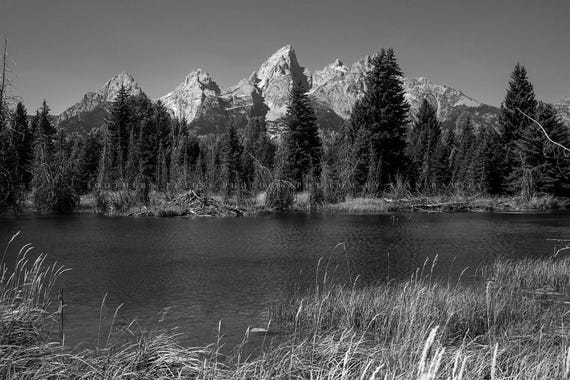 Grand Tetons Photography Print: Wyoming Black & White Schwabacher Landing Rocky Mountains Canvas Metal Framed Picture Photo Wall Art Decor
