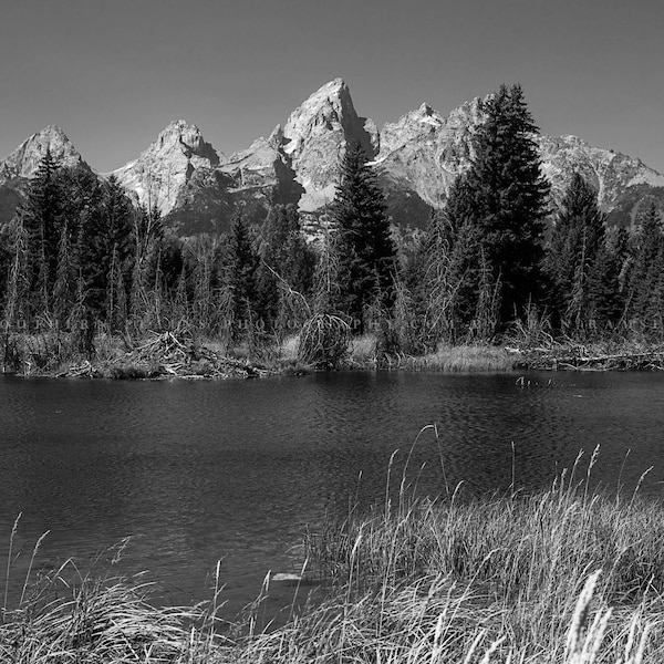 Grand Tetons Photography Print: Wyoming Black & White Schwabacher Landing Rocky Mountains Canvas Metal Framed Picture Photo Wall Art Decor