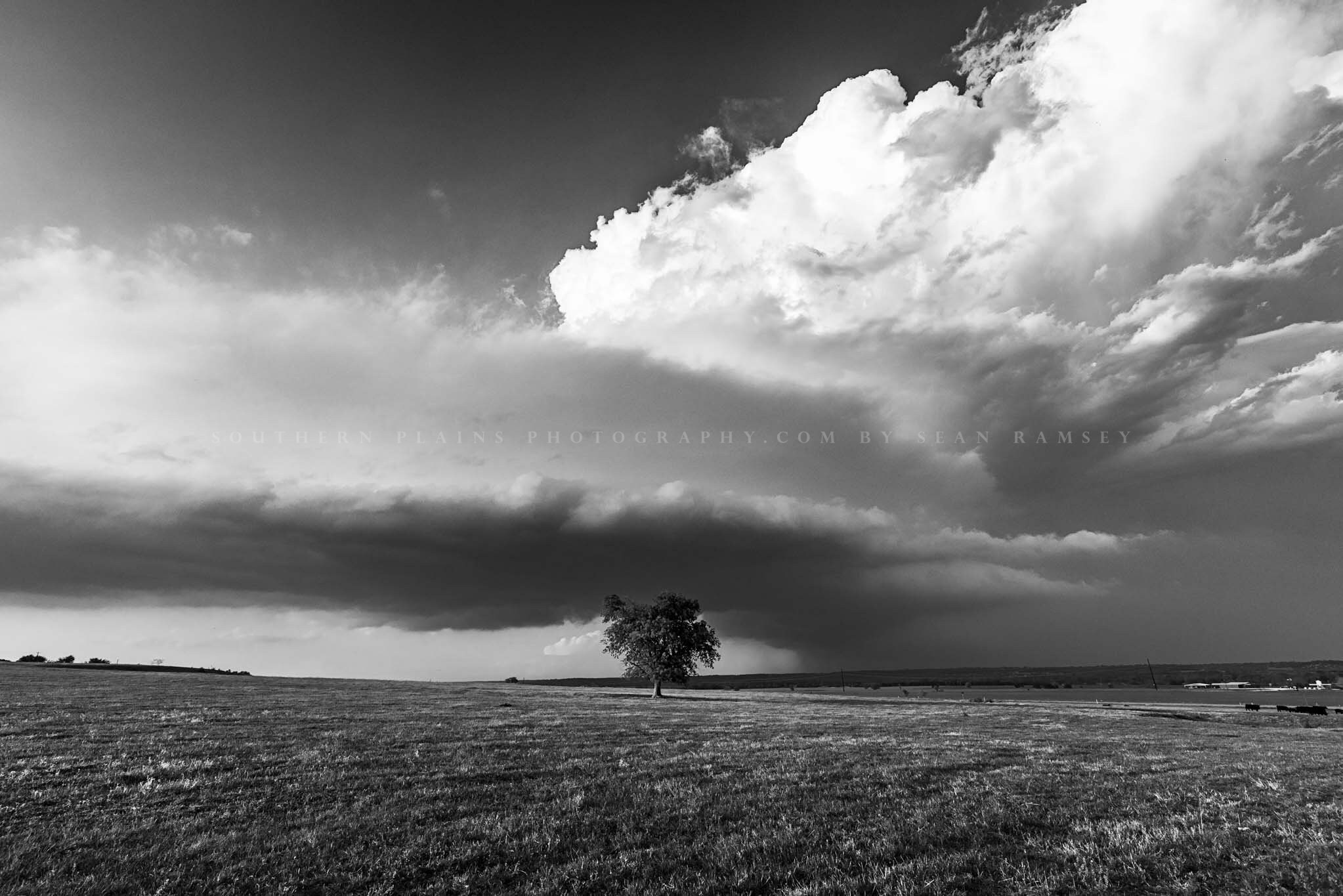 Learning to fly, Modern Photography, Black and White Print