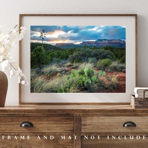 Southwestern Photography Print Picture of Desert Landscape at Sunset near Sedona Arizona Cactus Wall Art Western Decor image 4