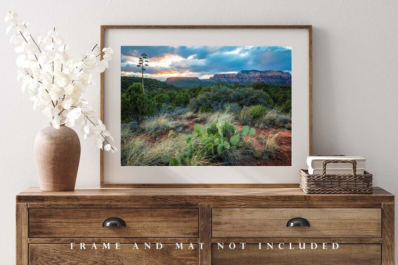 Southwestern Photography Print Picture of Desert Landscape at Sunset near Sedona Arizona Cactus Wall Art Western Decor image 4