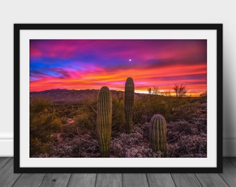 Framed and Matted Print - Saguaro Cactus Under Venus and Jupiter at Sunrise in Arizona Sonoran Desert Wall Art Southwestern Decor