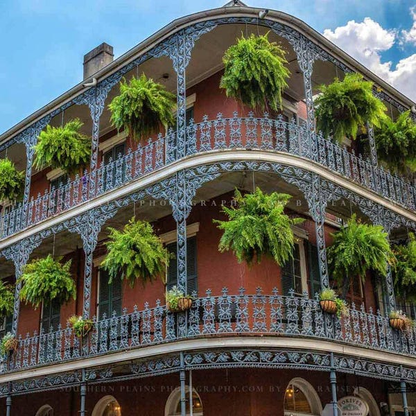 French Quarter Photography Print: Louisiana New Orleans Corner Building Ferns Travel NOLA Canvas Metal Framed Picture Photo Wall Art Decor