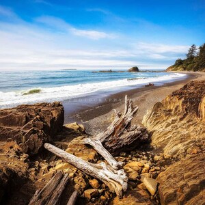 Driftwood Photography Print: Washington Coast Beach Pacific Northwest Coastal Ocean Nature Canvas Metal Framed Picture Photo Wall Art Decor