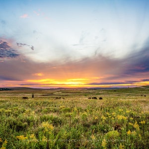 Great Plains Photography Print - Picture of Scenic Sunset Over Tallgrass Prairie in Osage County Oklahoma Landscape Wall Art Western Decor