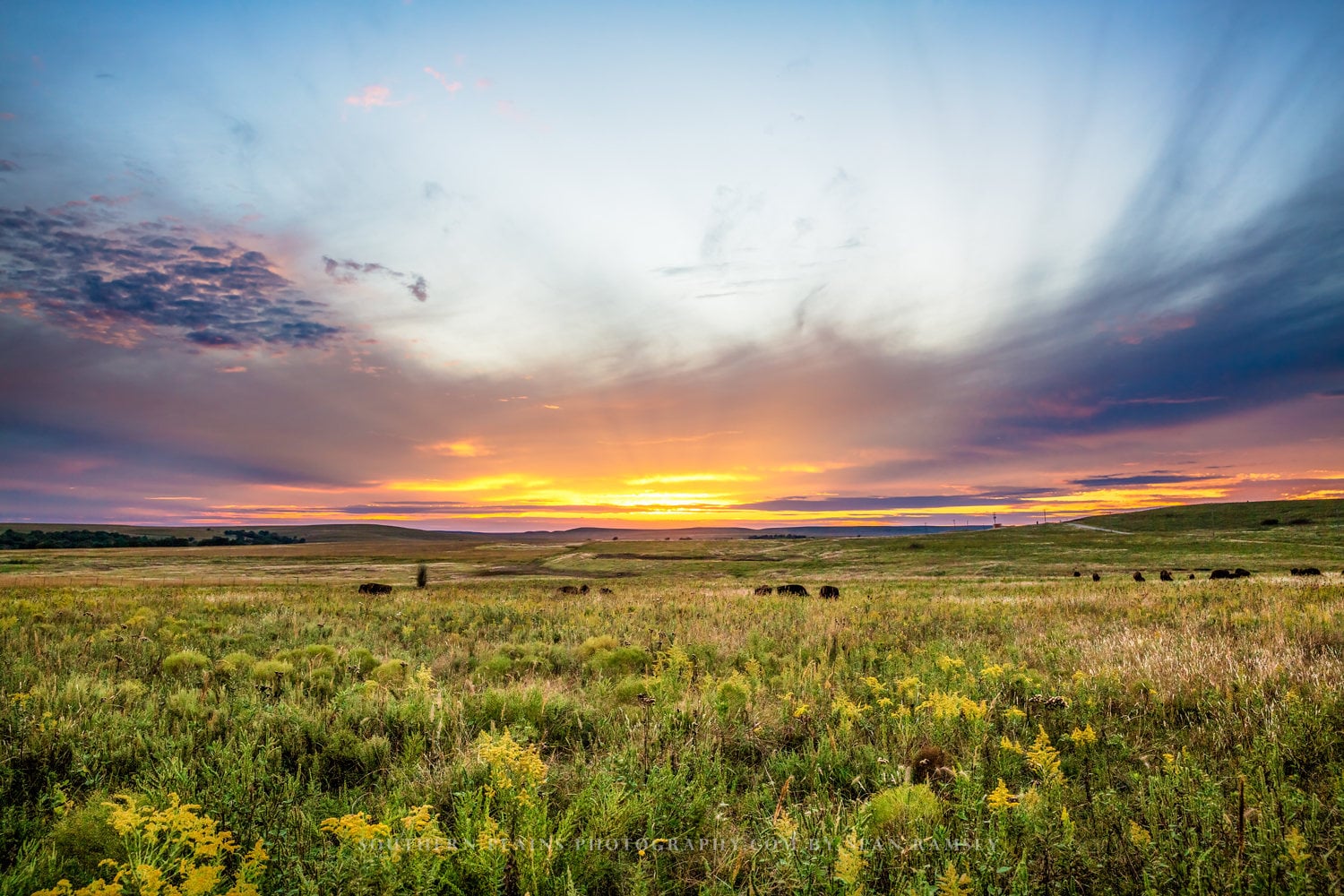 Great Plains Photography Print Picture of Scenic Sunset Over Etsy Great Plains Photography Print Picture of Scenic Sunset Over Etsy
