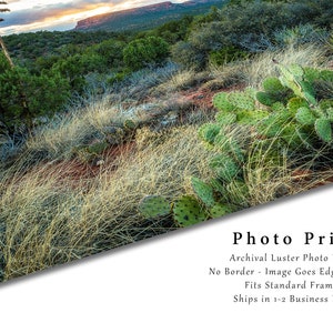 Southwestern Photography Print Picture of Desert Landscape at Sunset near Sedona Arizona Cactus Wall Art Western Decor image 2