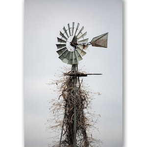 May include: A weathered windmill with a metal blade and a sign that reads "Air Motor" stands tall against a gray sky. The windmill is surrounded by a tangle of brown vines.
