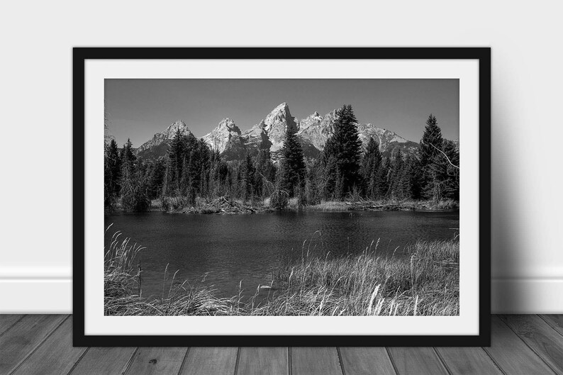 May include: Black and white photograph of a mountain range reflected in a still lake. The mountains are snow-capped and the trees in the foreground are silhouetted against the water.