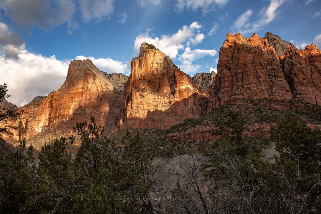 Zion National Park Photography Print Picture of Three - Etsy
