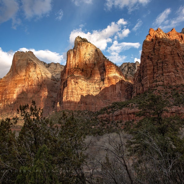 Zion National Park Photography Print - Picture of Three Patriarchs in Sunlight in Utah Western Landscape Wall Art Photo Artwork Decor