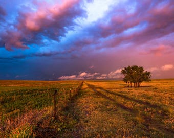 Prairie Wall Art - Picture of Trees and Fence Under Stormy Sky in Oklahoma - Western Photography Great Plains Photo Print Artwork Decor