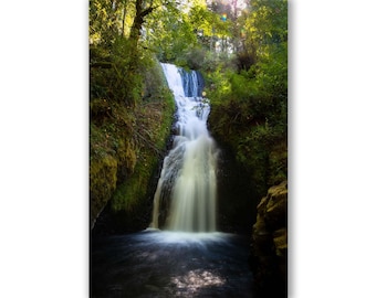 May include: A scenic photograph of a waterfall cascading down a rocky cliff face. The water is a bright white, contrasting with the dark, shaded pool below. Lush green foliage surrounds the waterfall, with sunlight filtering through the trees.
