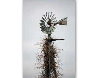 Farm Photography Print - Vertical Picture of Aermotor Windmill Covered in Vines in Oklahoma Country Wall Art Farmhouse Decor