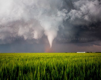 Storm Photography Print - Picture of Tornado Over Wheat Field on Stormy Spring Day in Texas Thunderstorm Wall Art Weather Decor