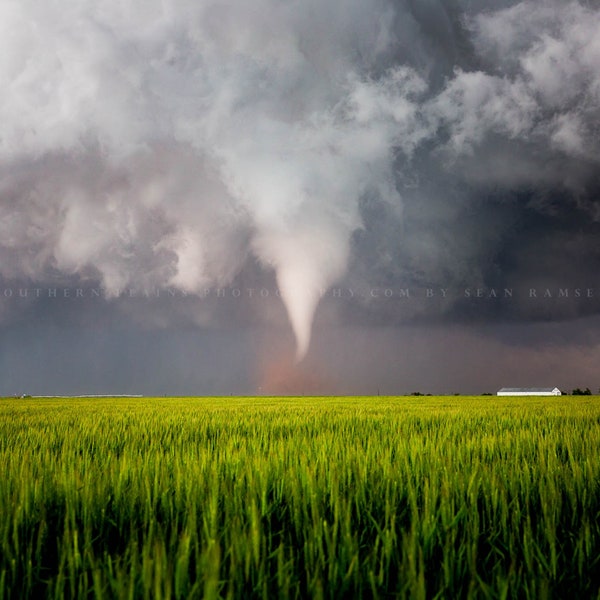 Storm Photography Print - Picture of Tornado Over Wheat Field on Stormy Spring Day in Texas Thunderstorm Wall Art Weather Decor