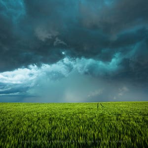 Storm Photography Print - Picture of Teal Thunderstorm Over Lush Green Wheat Field in Eastern Kansas Modern Farmhouse Decor 4x6 to 40x60