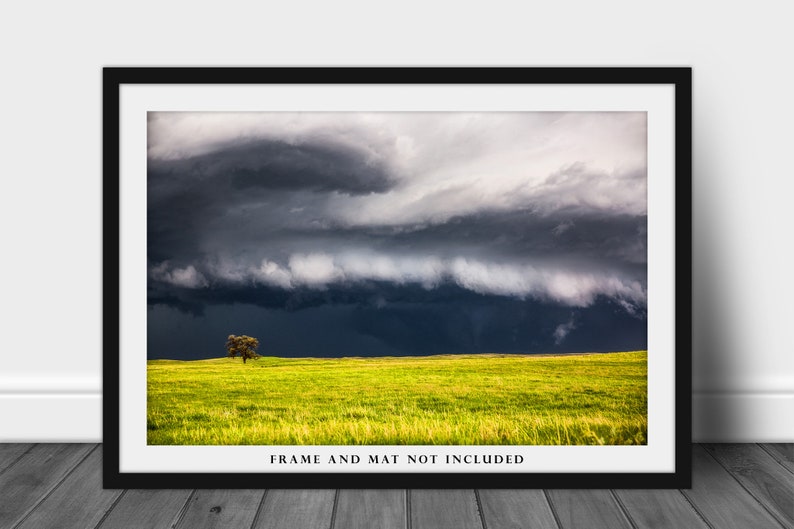 Storm Photography Print Picture of Thunderstorm Passing Behind Lone Tree on Nebraska Prairie Landscape Wall Art Nature Decor image 3