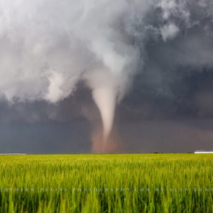 Storm Photography Print - Picture of Tornado Spinning Up Dust Over Wheat Field on Spring Day in Texas - Weather Thunderstorm Wall Art Decor