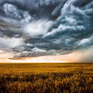 Storm Photography Print: Colorado Stormy Sky Wheat Field Western Plains Farm Country Rural Canvas Metal Framed Picture Photo Wall Art Decor