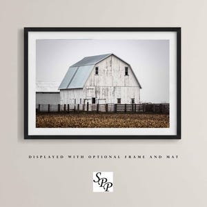 White Barn in Illinois • Print | Canvas | Metal | Framed • Midwest, Farmland, Country, Rural, Rustic, Photography, Picture, Wall Art, Decor