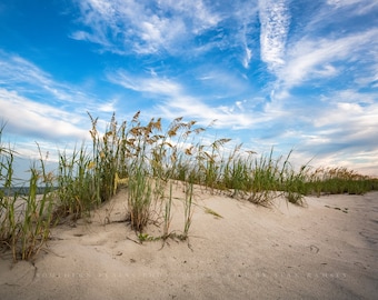 Coastal Photography Print - Picture of Sand Dunes and Sea Oats at Hilton Head Island South Carolina Beach Wall Art Seascape Decor