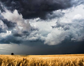 Storm Clouds Photography Print: Kansas Golden Wheat Field Country Landscape Stormy Farm Canvas Metal Framed Picture Photo Wall Art Decor