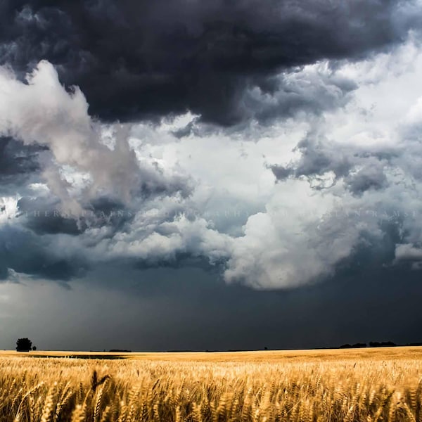 Storm Clouds Photography Print: Kansas Golden Wheat Field Country Landscape Stormy Farm Canvas Metal Framed Picture Photo Wall Art Decor