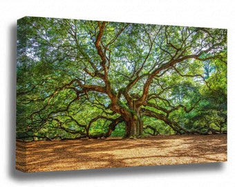 Canvas Wall Art - Gallery Wrap of Angel Oak Tree near Charleston South Carolina Lowcountry Photography Tree of Life Photo Nature Decor
