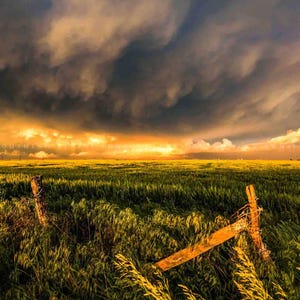 May include: A field of green grass with a wooden fence post in the foreground. The sky is a dramatic mix of dark clouds and bright yellow sunlight.