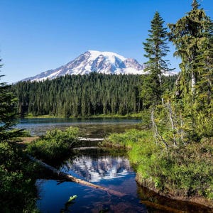 May include: A scenic view of a snow-capped mountain peak rising above a lush green forest and a tranquil lake. The lake is surrounded by tall evergreen trees and a small stream flows into it.