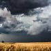 Country Photography Print - Kansas Wall Art Picture of Storm Clouds Over Wheat Field Western Landscape Photo Artwork Farmhouse Decor