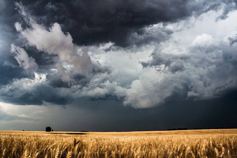 Country Photography Print - Kansas Wall Art Picture of Storm Clouds Over Wheat Field Western Landscape Photo Artwork Farmhouse Decor 