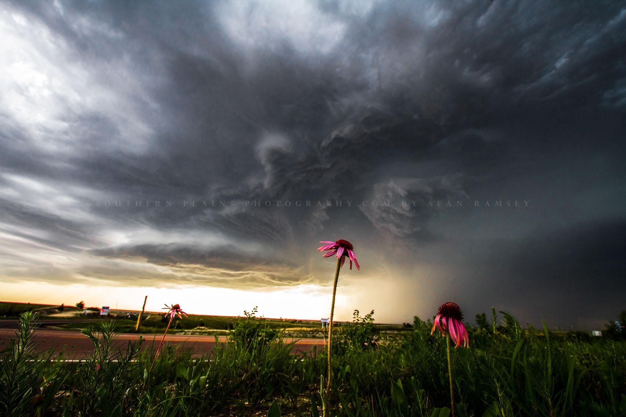 Wildflowers and Storm in Kansas • Print | Canvas | Metal | Framed • Flowers, Thunderstorm, Weather, Stormy, Photography, Picture, Wall Art