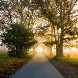 Cades Cove Loop Great Smoky Mountains Tennessee • Print | Canvas | Metal | Framed | Fog, Sunlight, Ethereal, Photography, Picture, Wall Art